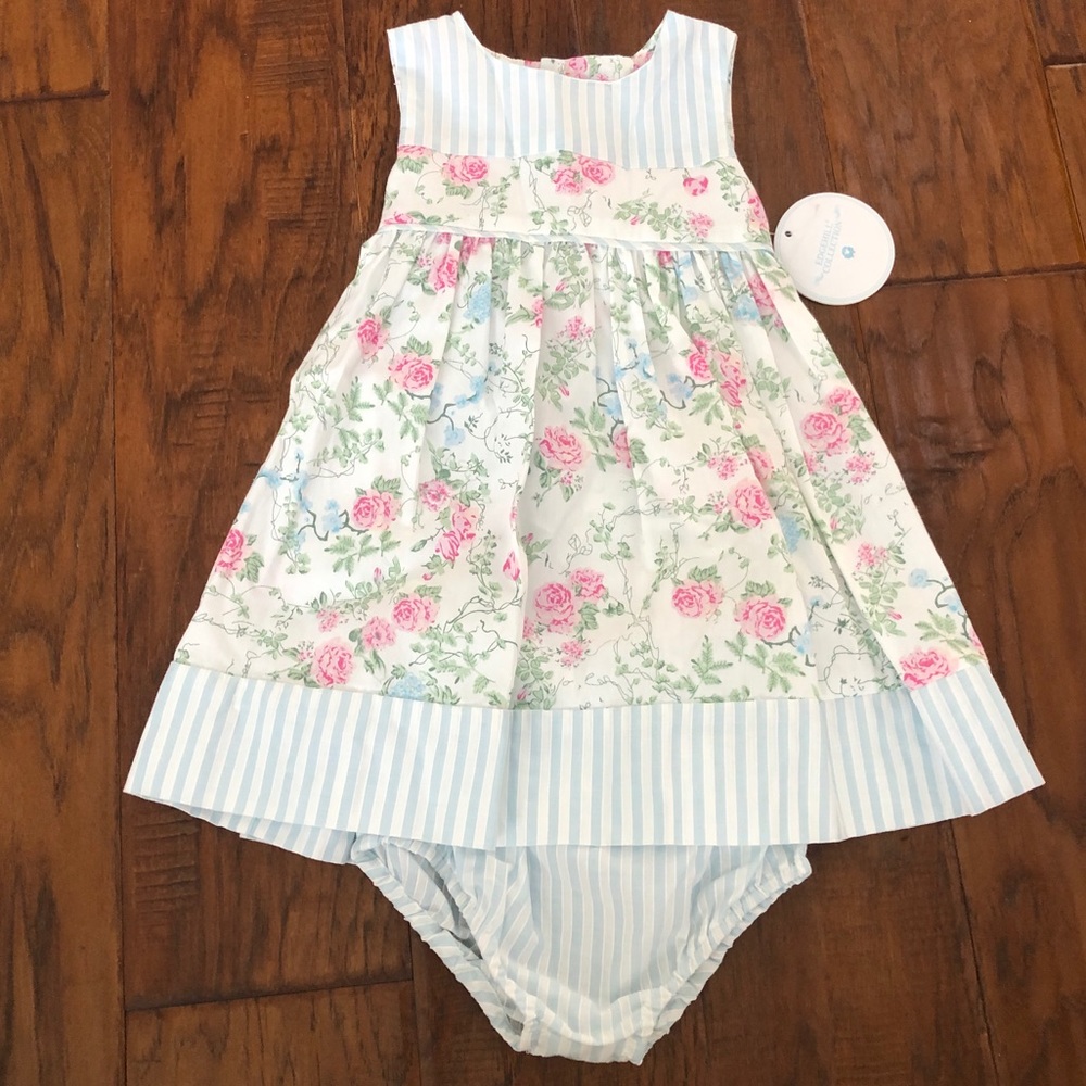 Edgehill Collection Floral and Blue Stripe Dress